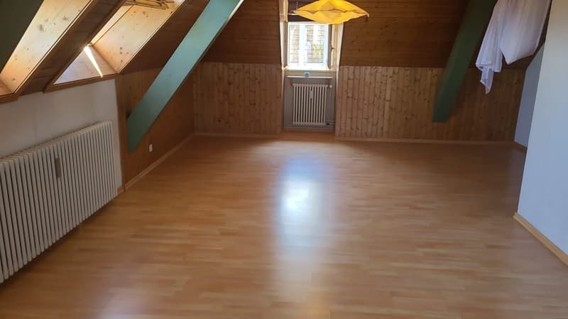 Ab sofort - Grosszügige 1.5 Zi Dachwohnung mit traumhafter Aussicht (19)