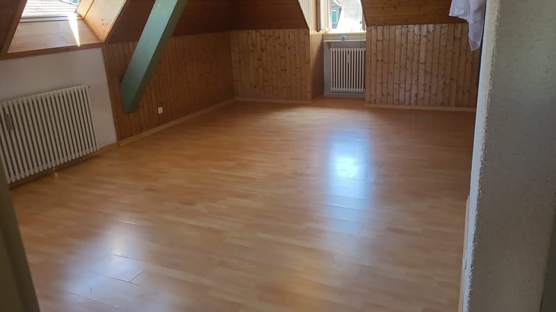 Ab sofort - Grosszügige 1.5 Zi Dachwohnung mit traumhafter Aussicht (21)