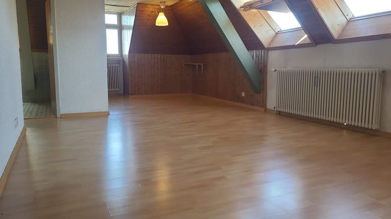 Ab sofort - Grosszügige 1.5 Zi Dachwohnung mit traumhafter Aussicht (22)