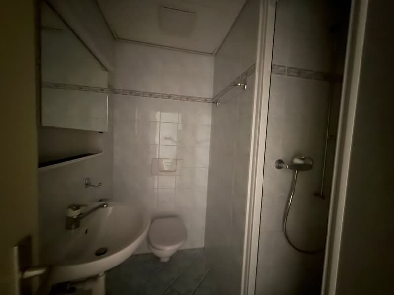 Ab sofort - Frisch gestrichen, tolle , grosszügie 4.5 Zi Wohnung mit 3 grossen Balkonen (19)