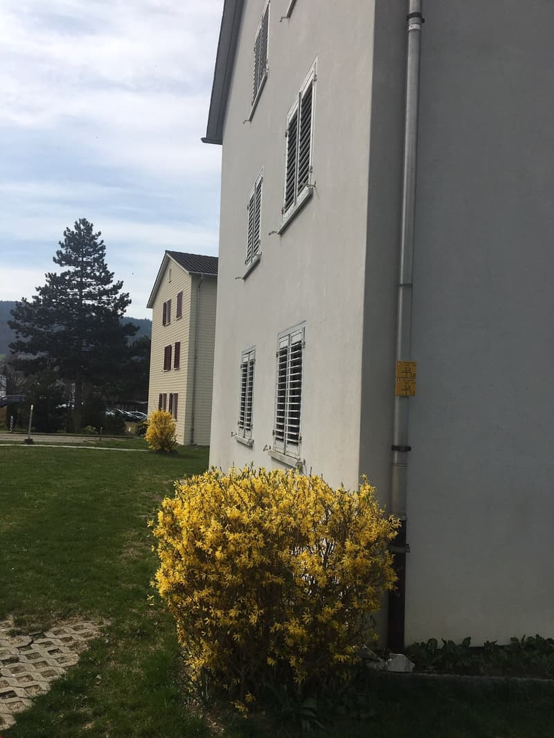 Hübsche Umgebung in der Nachbarschaft