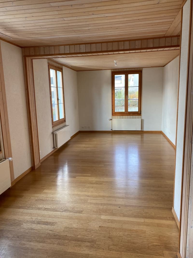 Schöner, grosser Wohnraum