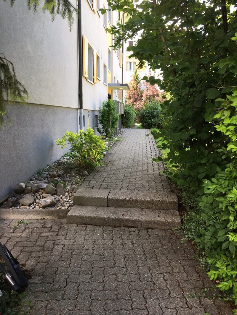 Hübsches Weglein zum Hauseingang