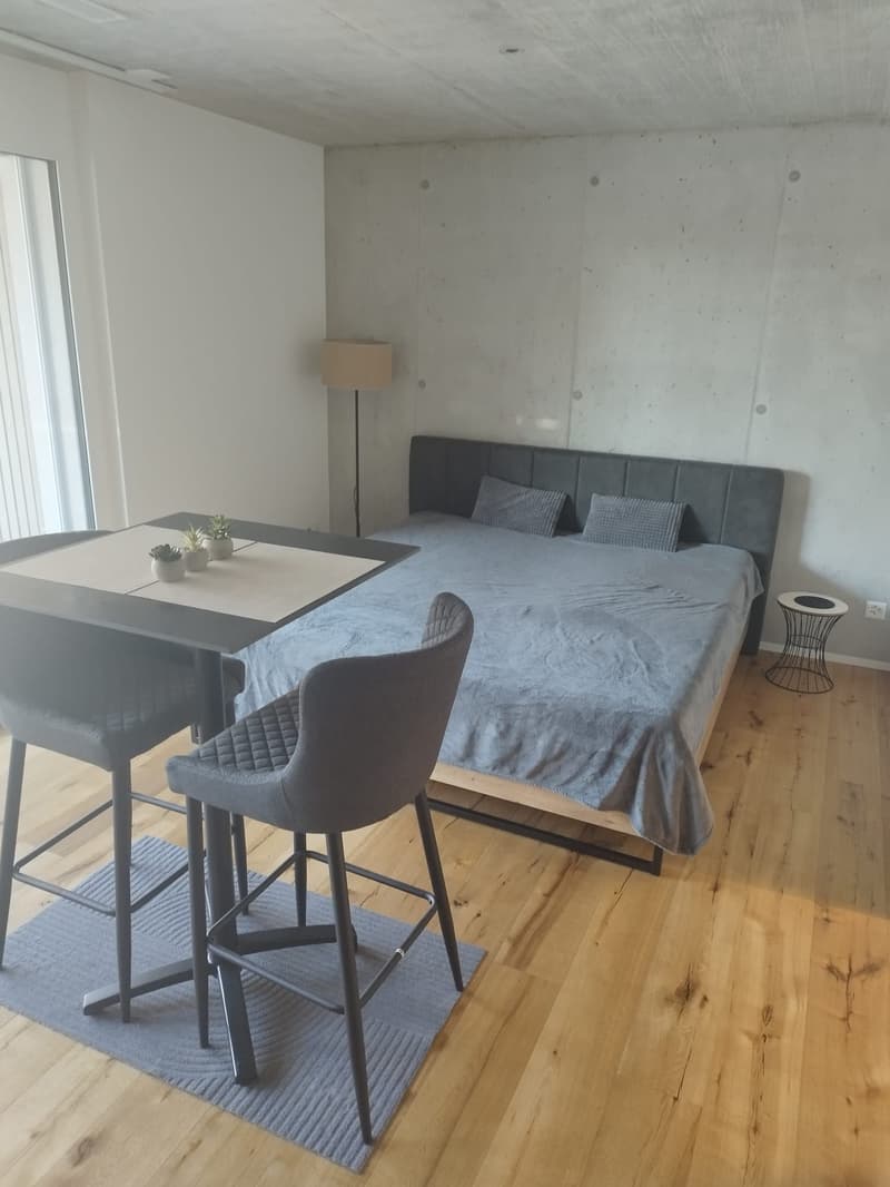 Ab 15.8./1.9. - Moderne, tolle 1.5 Zi Wohnung mit 30 BGF und grossem Balkon 12 m2 (6)