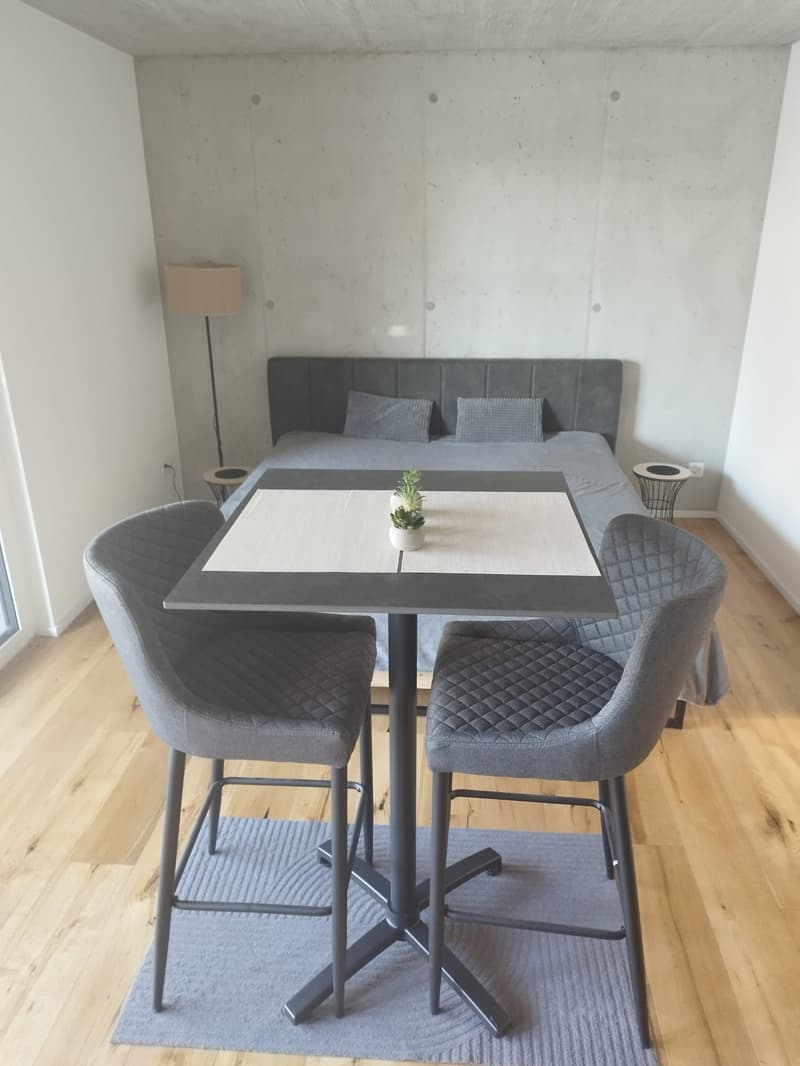 Ab 15.8./1.9. - Moderne, tolle 1.5 Zi Wohnung mit 30 BGF und grossem Balkon 12 m2 (5)