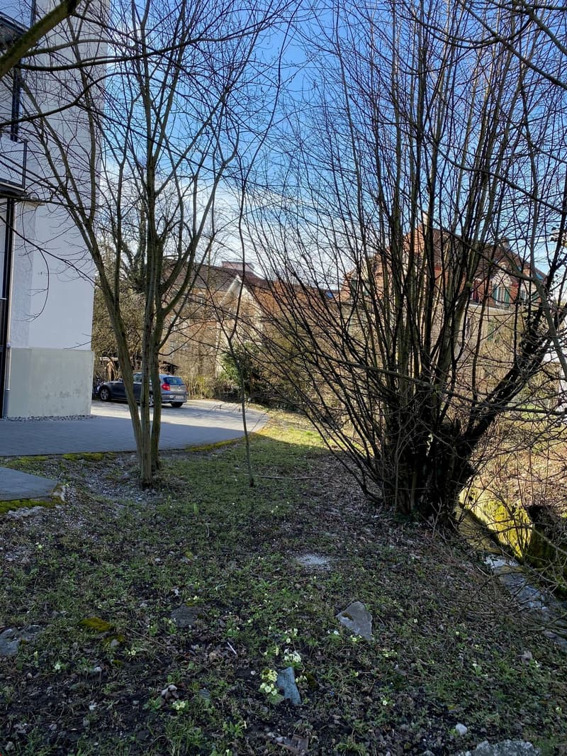 Blick hinters Haus und in Richtung Bächlein und Umgebung
