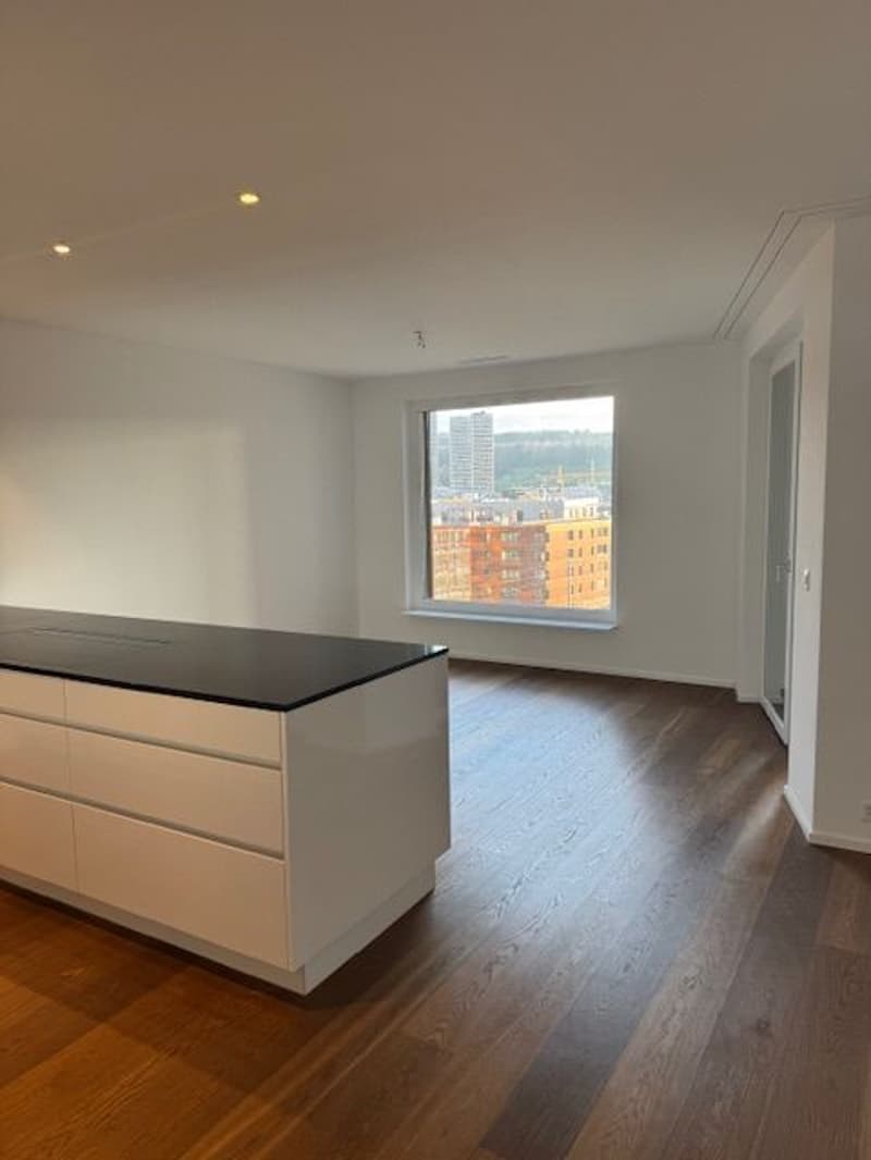 Ab 1.10. - Stylische 3.5 Zi Whg mit 95 m2 mit grosser Loggia 35 m2, im 8. Stock (3)