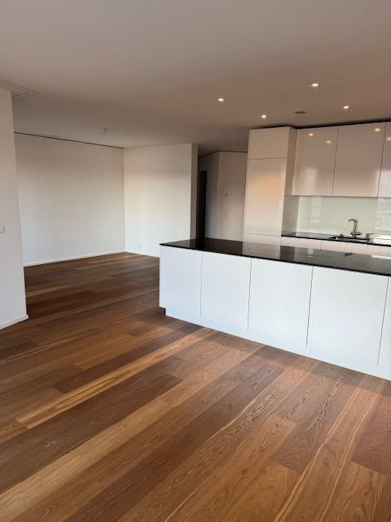 Ab 1.10. - Stylische 3.5 Zi Whg mit 95 m2 mit grosser Loggia 35 m2, im 8. Stock (5)