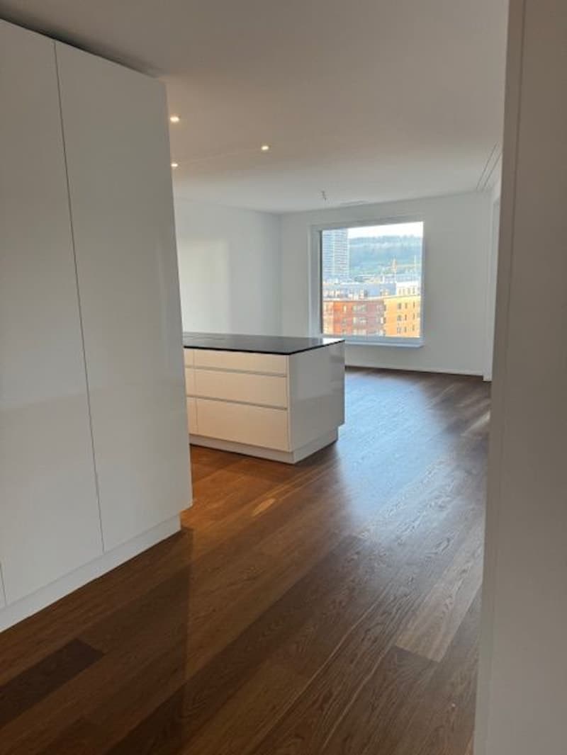 Ab 1.10. - Stylische 3.5 Zi Whg mit 95 m2 mit grosser Loggia 35 m2, im 8. Stock (8)