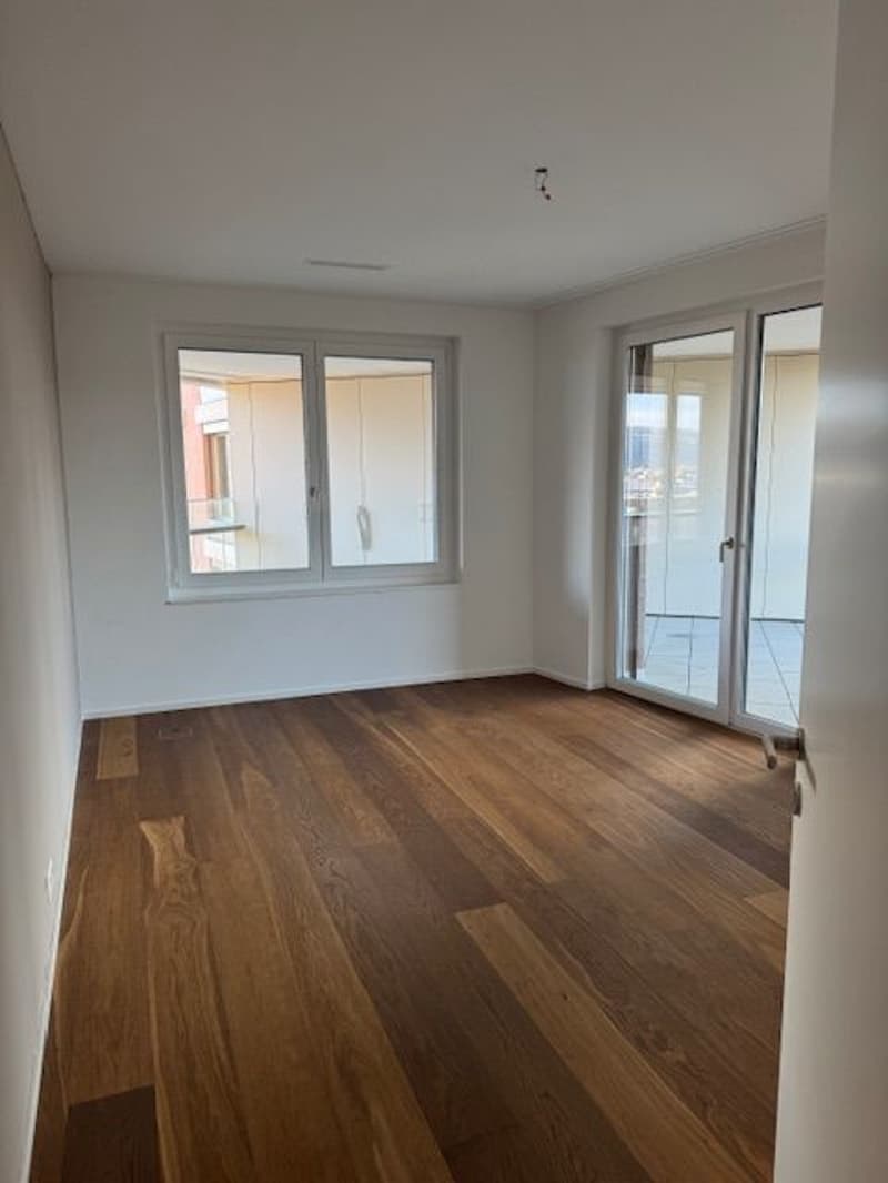 Ab 1.10. - Stylische 3.5 Zi Whg mit 95 m2 mit grosser Loggia 35 m2, im 8. Stock (15)