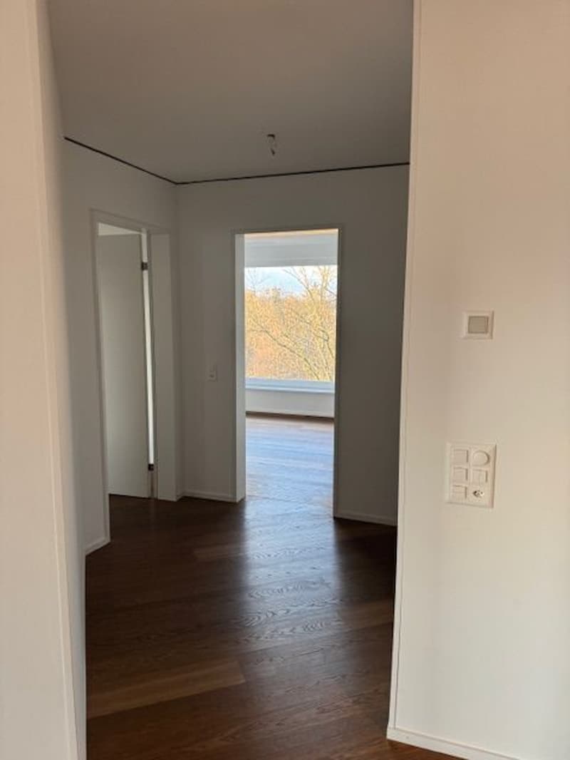 Ab 1.10. - Stylische 3.5 Zi Whg mit 95 m2 mit grosser Loggia 35 m2, im 8. Stock (14)