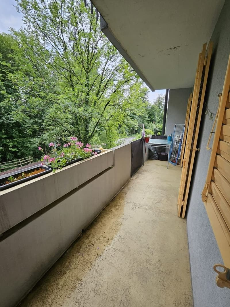 Hübsche 3.5 Zi Wohnung mit Balkon, Bächlein, Natur - ab 1.10.2026 (16)