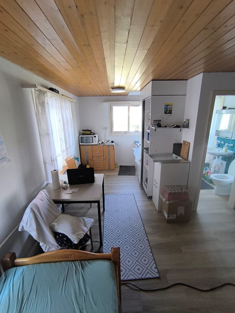 Ab 1.10. - Praktische, kleine 1.0 Zimmerwohnung (2)