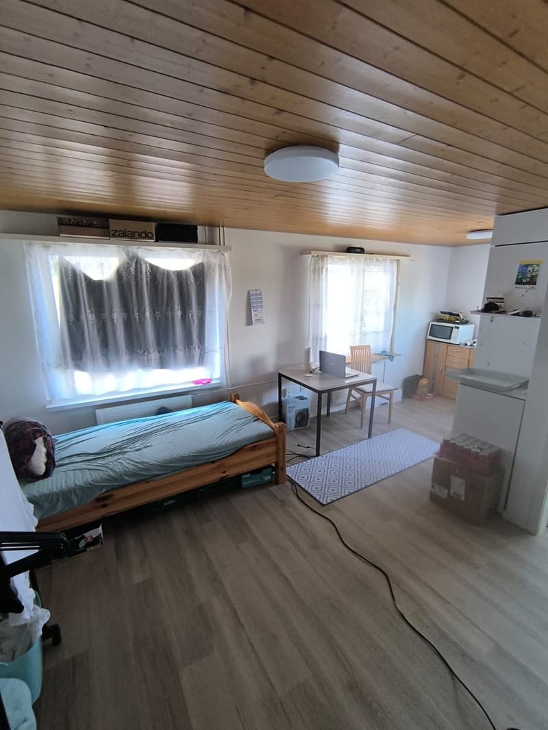 Ab 1.10. - Praktische, kleine 1.0 Zimmerwohnung (3)