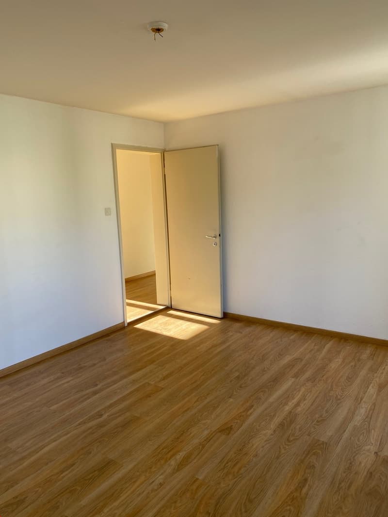 Viel Sonne in der ganzen Wohnung
