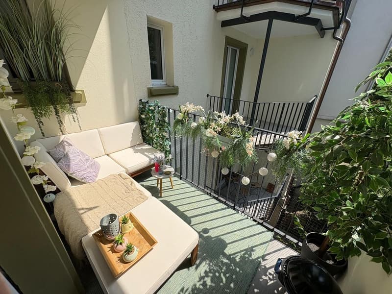 Ab 1.11.2026 - Wunderschöne 3.5 Zi Wohnung, lauschiger Balkon (7)