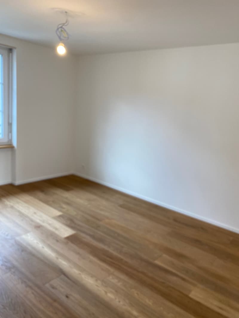 Ab 1.11.2026 - Wunderschöne 3.5 Zi Wohnung, lauschiger Balkon (13)