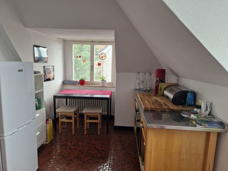 Grosszügige 2.5 Zi Wohnung mit traumhafter Aussicht - flexibel ab 1.10./1.11./1.12. (5)
