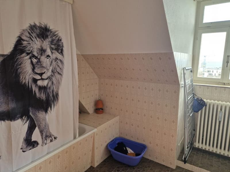 Grosszügige 2.5 Zi Wohnung mit traumhafter Aussicht - flexibel ab 1.10./1.11./1.12. (11)