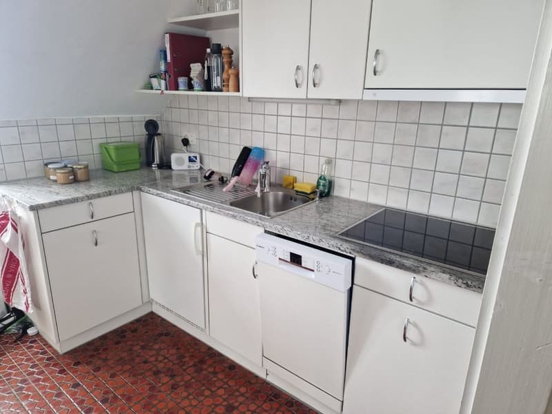 Grosszügige 2.5 Zi Wohnung mit traumhafter Aussicht - flexibel ab 1.10./1.11./1.12. (10)