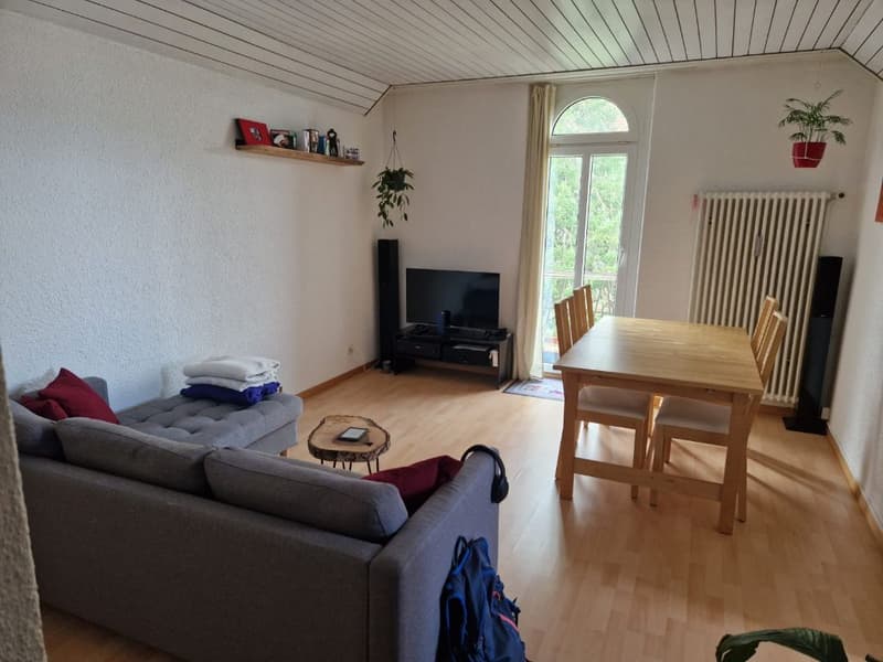 Grosszügige 2.5 Zi Wohnung mit traumhafter Aussicht - flexibel ab 1.10./1.11./1.12. (4)