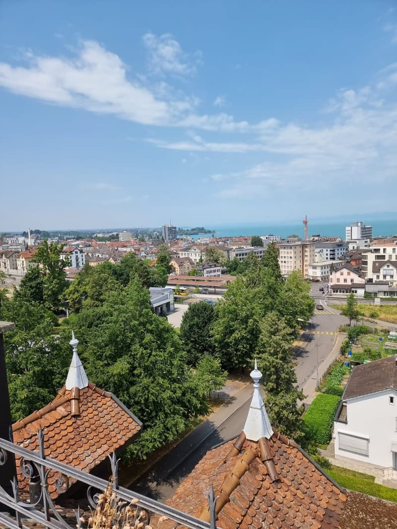 Grosszügige 2.5 Zi Wohnung mit traumhafter Aussicht - flexibel ab 1.10./1.11./1.12. (9)