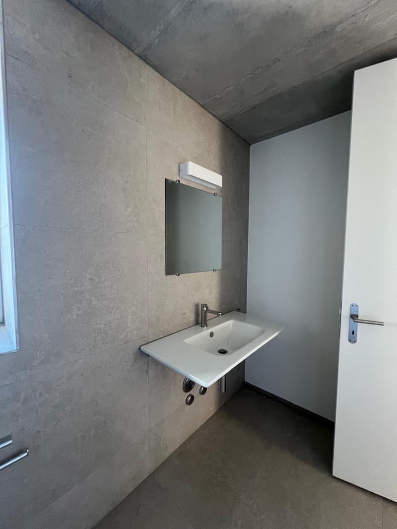Ab 1.12. - 80 m2 grosse, tolle 3.5 Zi Wohnung mit 17 m2 Terrasse/Balkon (16)