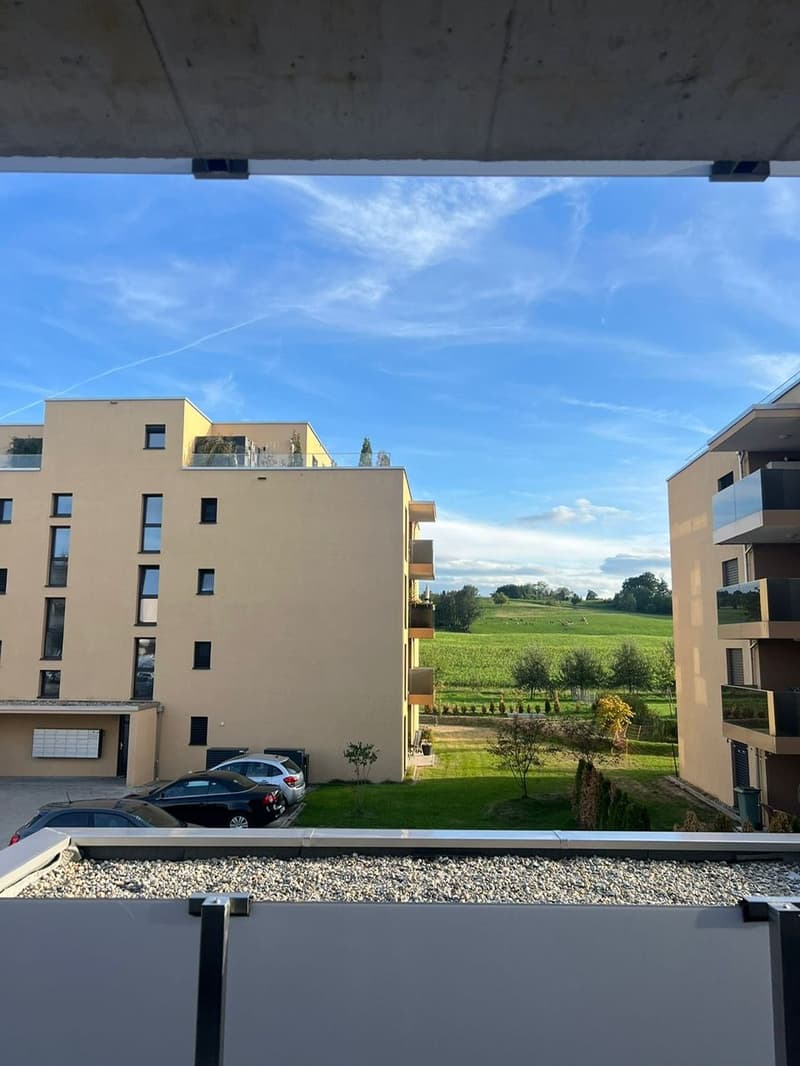 Ab 1.12. - 80 m2 grosse, tolle 3.5 Zi Wohnung mit 17 m2 Terrasse/Balkon (12)