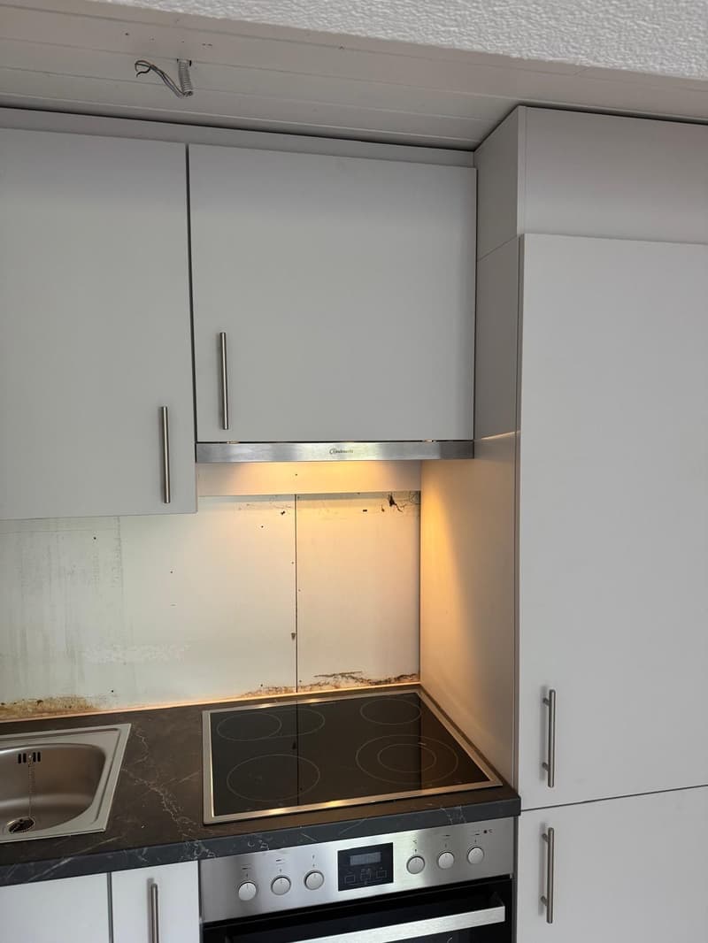 Ab 15.9-/1.10. - Hübsche 2.0 Zi Wohnung, frisch gestrichen (10)