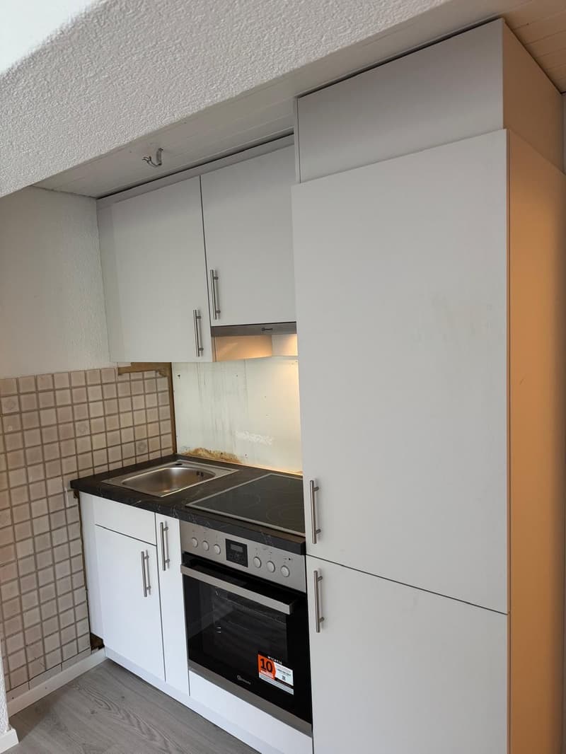 Ab 15.9-/1.10. - Hübsche 2.0 Zi Wohnung, frisch gestrichen (14)