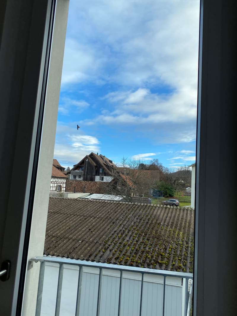 Ab 1.12./1.1. - Stylische 3.5 Zi Whg mit Balkon, Garage (11)