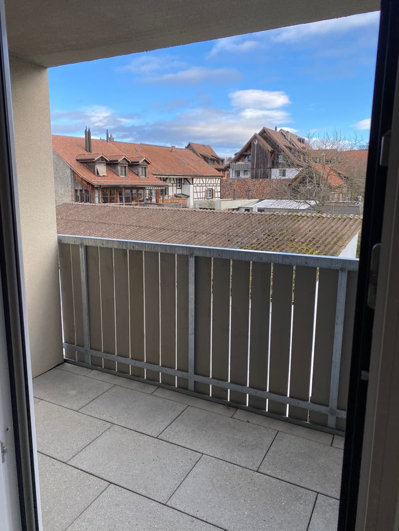 Ab 1.12./1.1. - Stylische 3.5 Zi Whg mit Balkon, Garage (15)