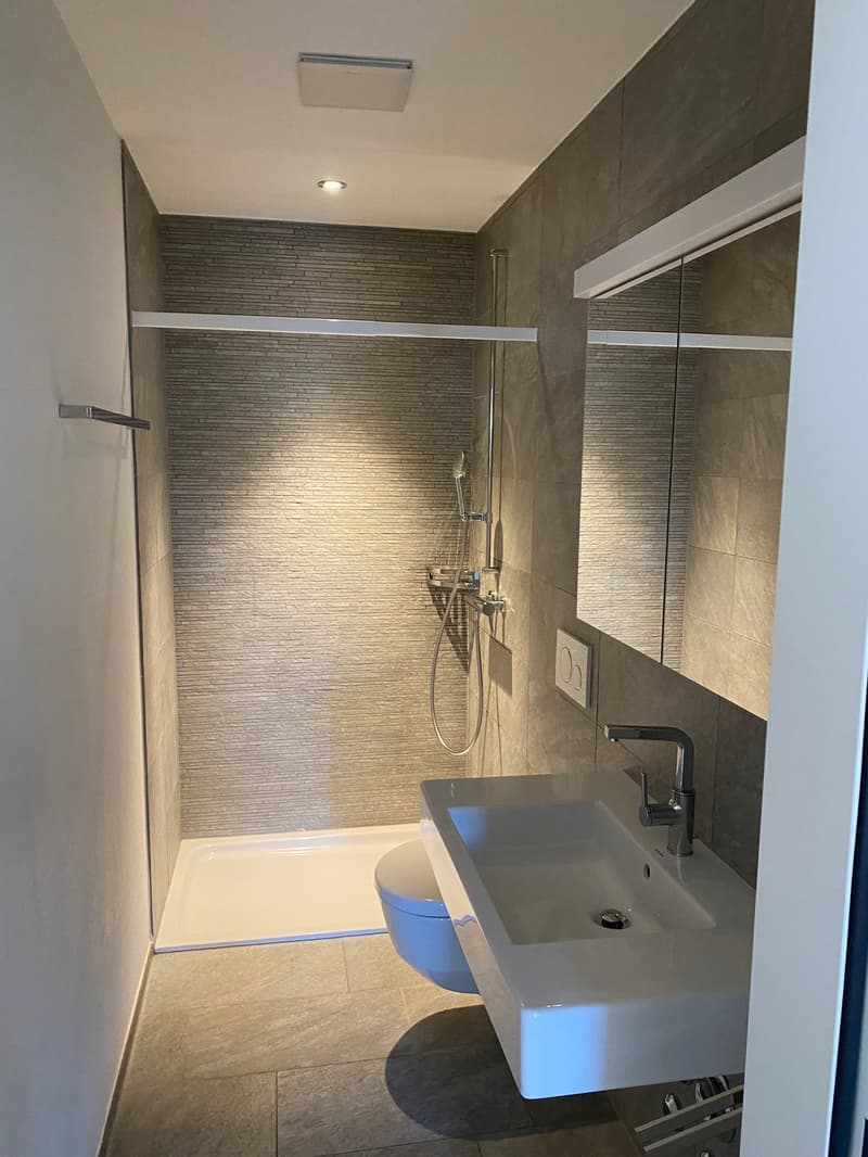 Ab 1.12./1.1. - Stylische 3.5 Zi Whg mit Balkon, Garage (18)