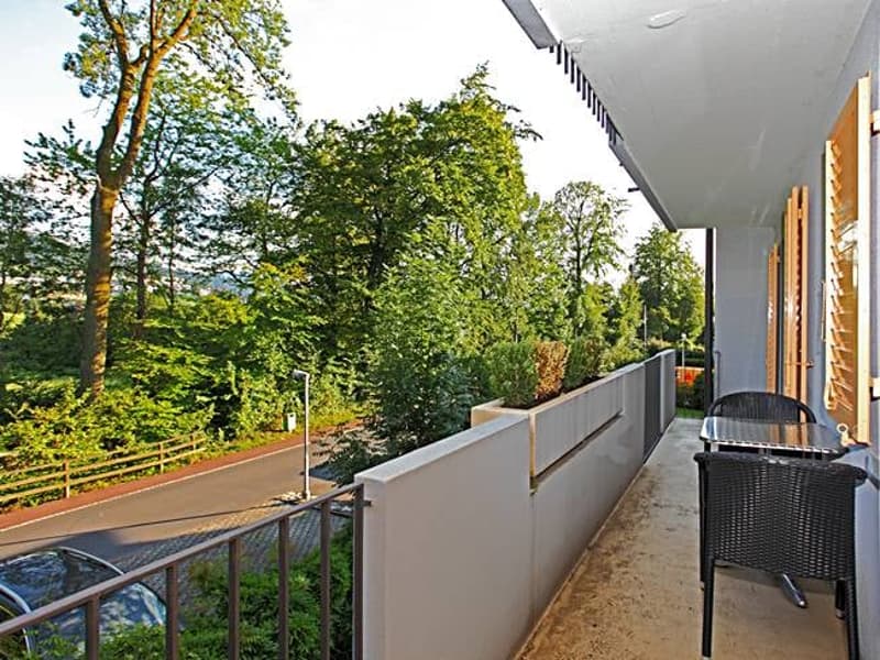 Ab 1.2./1.3. - Schöne 2.5 Zi Wohnung mit Balkon, grosse Einzelgarage (2)