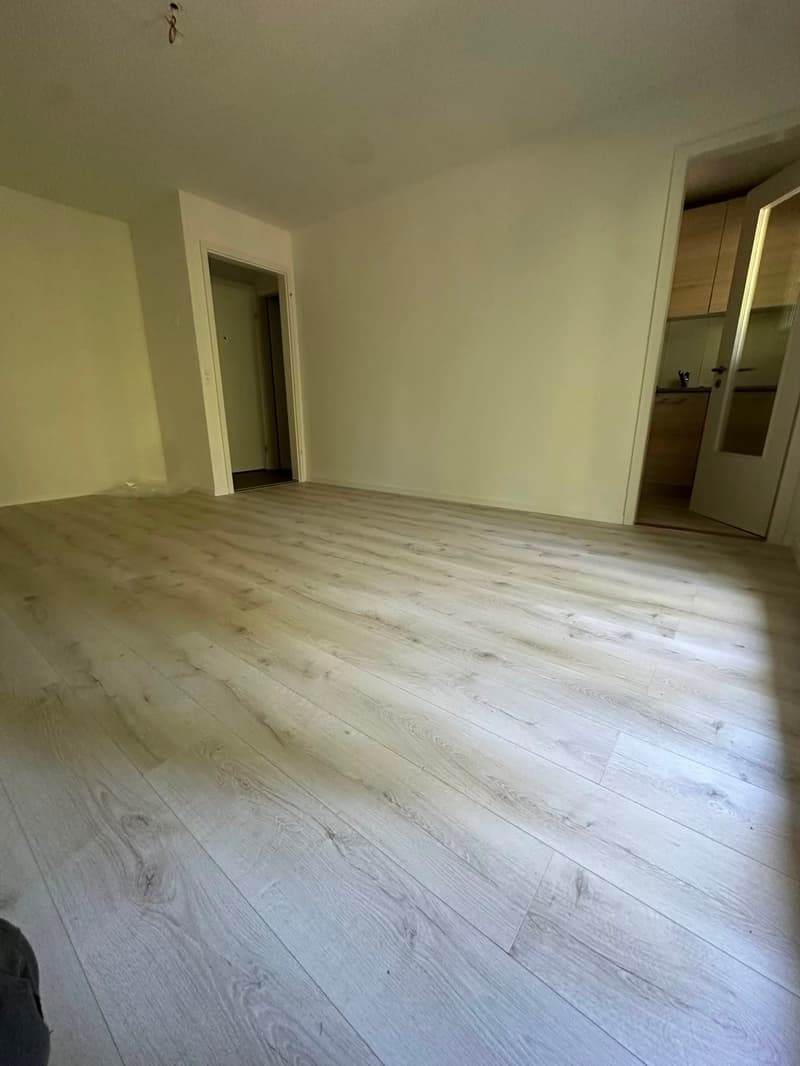 Ab 1.2./1.3. - Schöne 2.5 Zi Wohnung mit Balkon, grosse Einzelgarage (8)