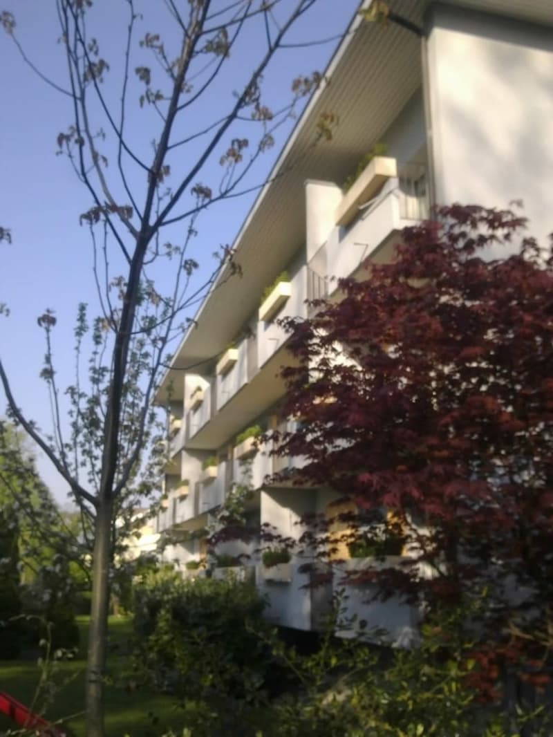 Ab 1.2./1.3. - Schöne 2.5 Zi Wohnung mit Balkon, grosse Einzelgarage (10)