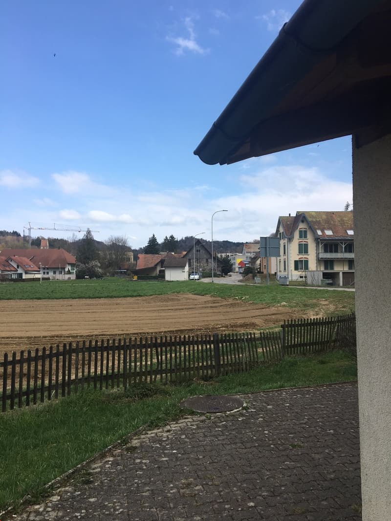 Blick ins Grüne direkt hinter dem Haus mit grossem Garten