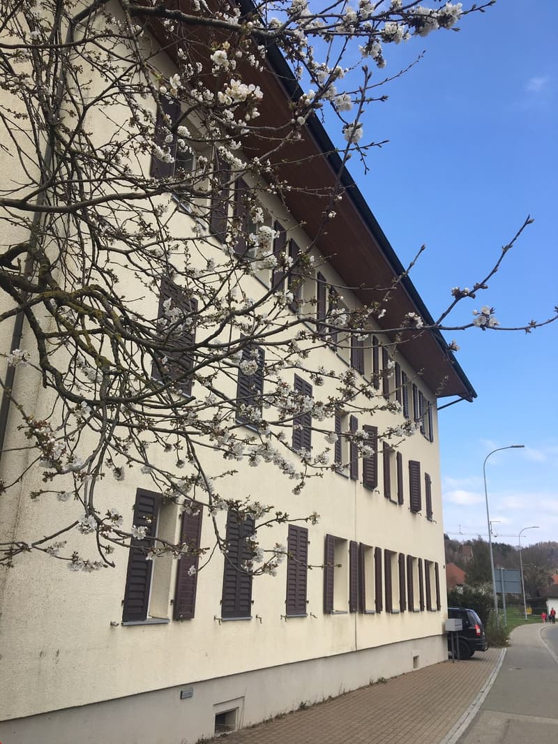 Ländliches Haus direkt angrenzend an die Landwirtschaft