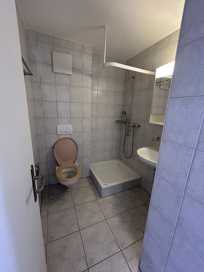 Nasszelle mit Dusche, WC, Lavabo