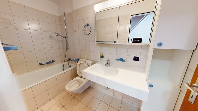 6-Subingenstrasse-08252026_151412