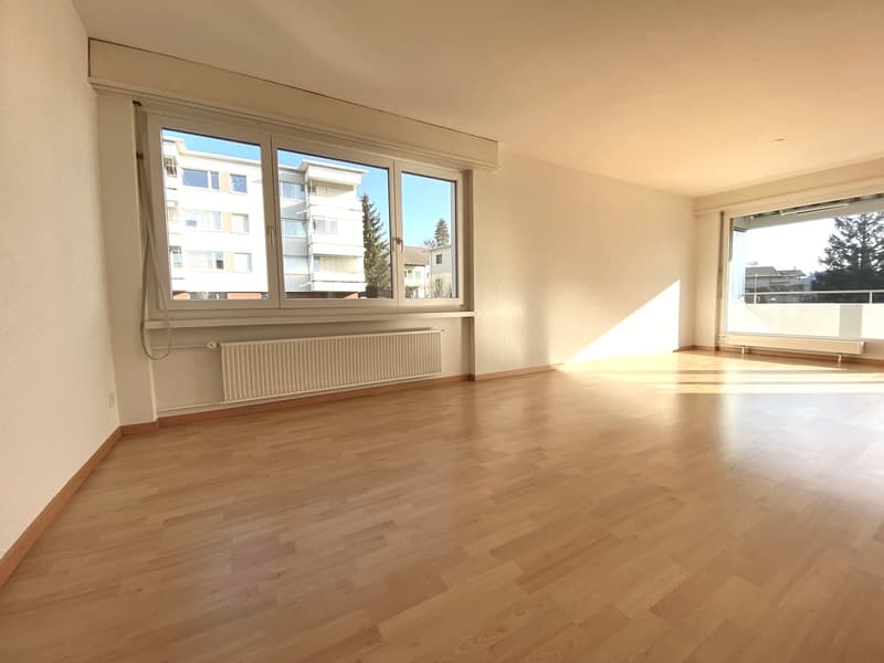 grosszügige, schöne Wohnung (2)