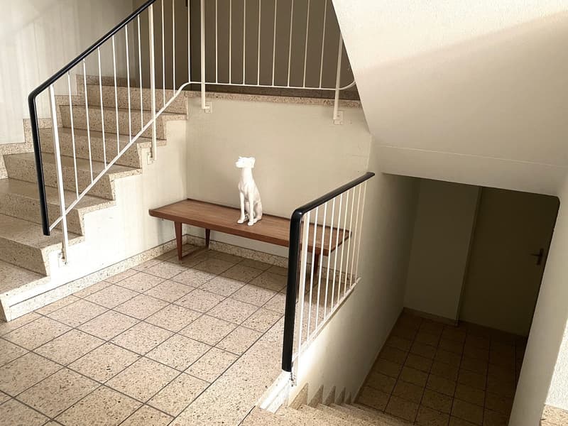grosszügige, schöne Wohnung (17)
