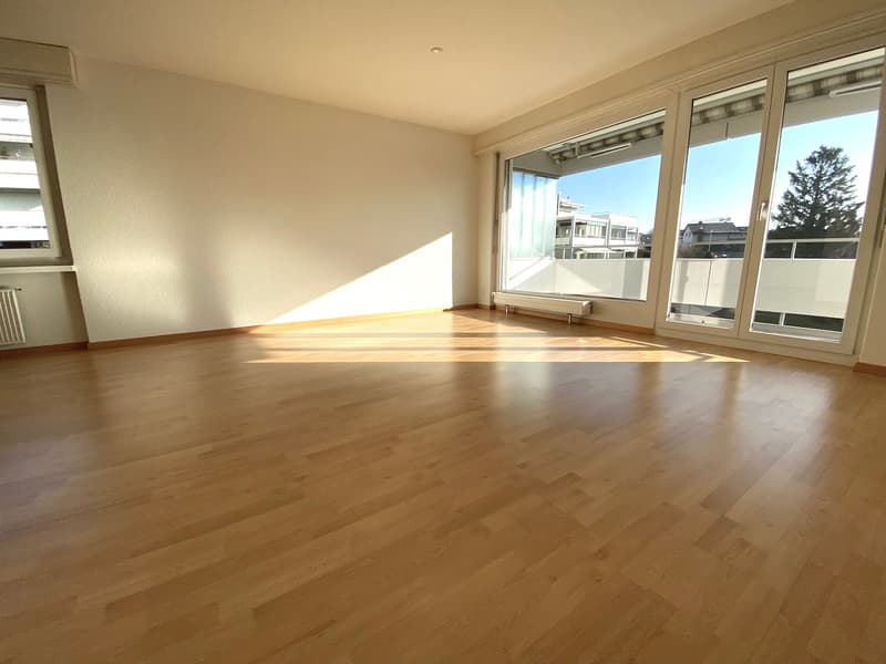 grosszügige, schöne Wohnung (1)