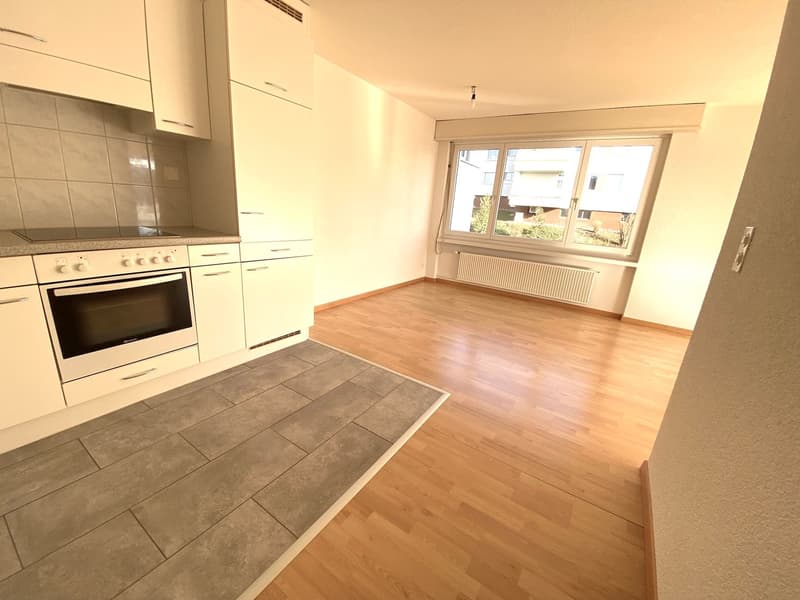 grosszügige, schöne Wohnung (6)