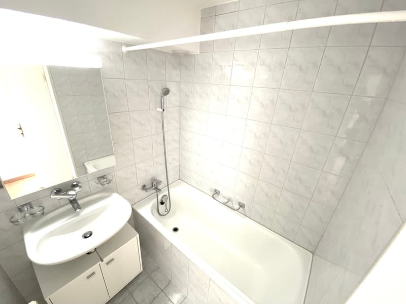 grosszügige, schöne Wohnung (8)