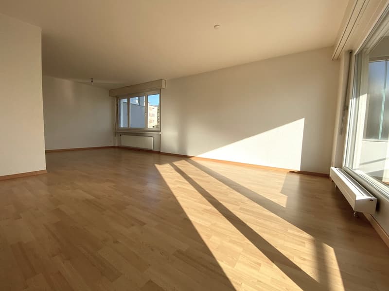 grosszügige, schöne Wohnung (11)