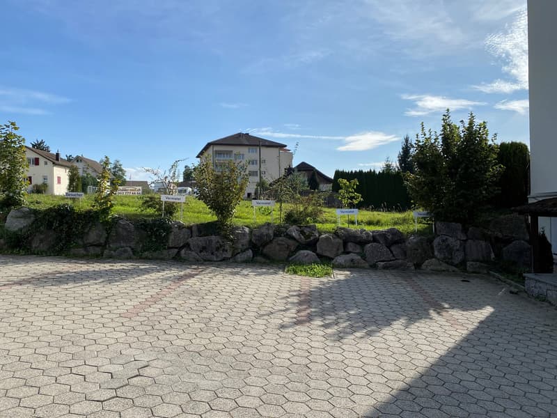 günstig parkieren in Menziken, Aussenparkplatz Nr. 3 (11)