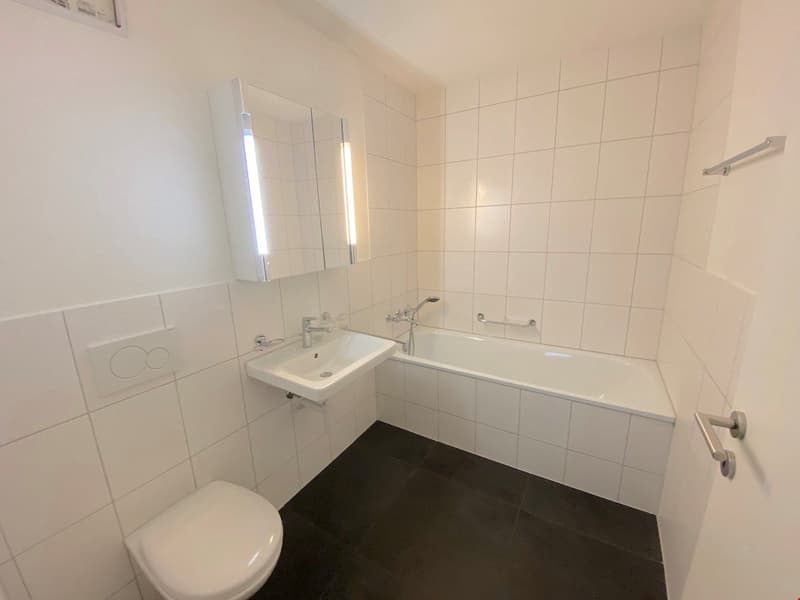 schöne Wohnung, modern, hell, grosszügig (11)