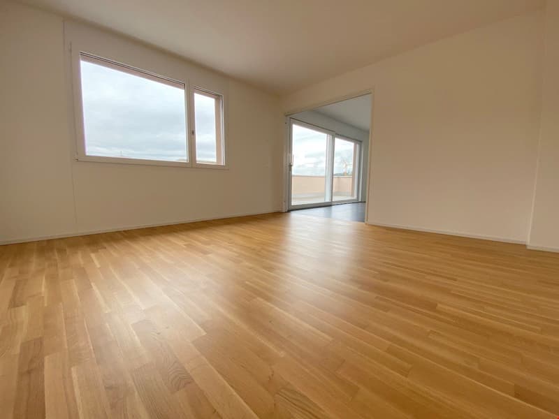 vermutlich die attraktivste Attika-Wohnung weit und breit (2)