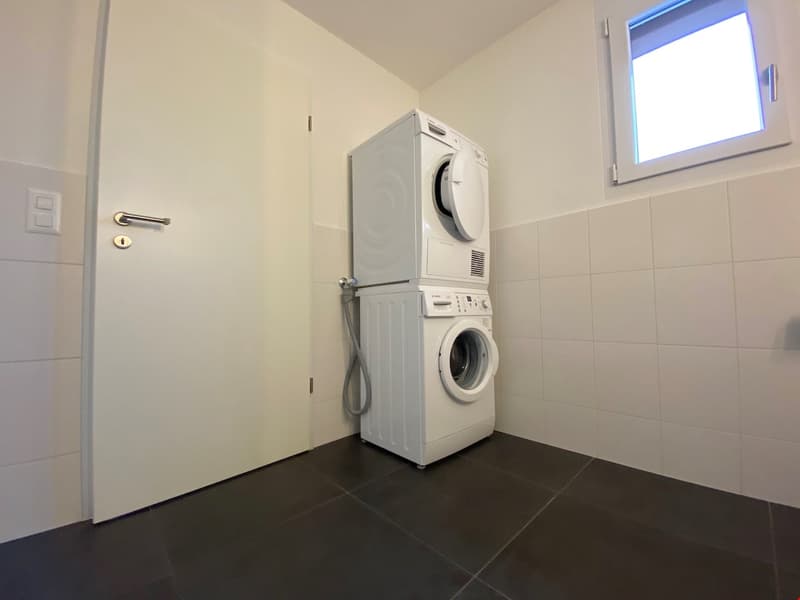 vermutlich die attraktivste Attika-Wohnung weit und breit (8)